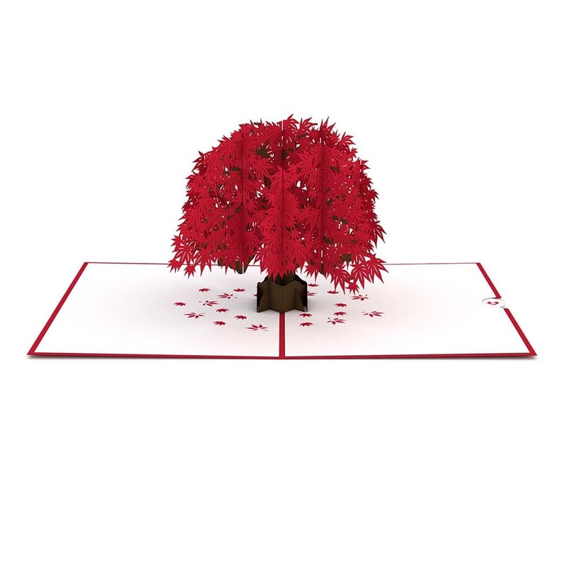 Lovepop Everyday Pop-Up Card for Her and Him- 3D Thinking of You Greeting Cards for Boys, Girls, Men, Women - 5" x 7" Maple Tree - Blank Note Card & Envelope Included - Image 4
